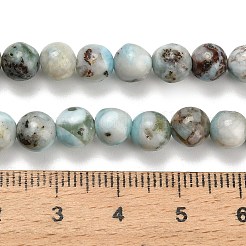 Natural Larimar Beads Strands&nbsp;G-L642-B19-6mm