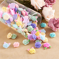 Opaque Resin Cabochon&nbsp;CRES-PJ0001-01
