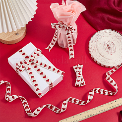25 Yards Cotton Ribbon&nbsp;SRIB-PH0001-91B