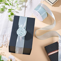 Polyester Organza Ribbon&nbsp;TAC0006-01C