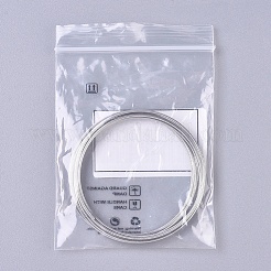 Steel Memory Wire&nbsp;X-MW5.5CM-1-NF