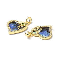 Abalone Shell/Paua Shell Pendants&nbsp;KK-P223-11G
