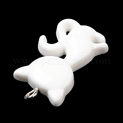 Opaque Resin Pendants&nbsp;RESI-G069-03D