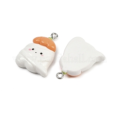 Halloween Opaque Resin Pendants&nbsp;LS-RESI-C062-02F
