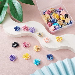 52Pcs 13 Colors Two Tone Opaque Resin Cabochons&nbsp;CRES-CD0001-08