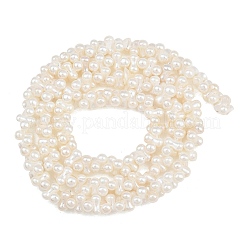 Electroplated Shell Pearl Beads Strands&nbsp;SH-CBA94AD-01