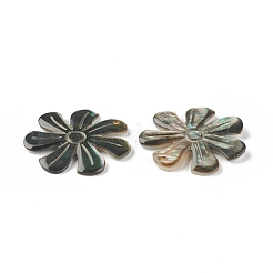 Natural Black Lip Shell Pendants&nbsp;SSHEL-T012-10