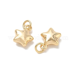 SHEGRACE Brass Pendants&nbsp;XGRQ3D243-458G