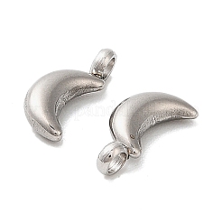 304 Stainless Steel Charms&nbsp;LS-STAS-M017-14C-P-1