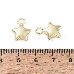 Alloy Pendants&nbsp;AL-CBA5609-10G-B