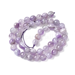 Natural Amethyst Beads Strands&nbsp;G-M445-8MM-01C