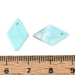 Spray Painted Natural Freshwater Shell Pendants&nbsp;BSHE-T014-07C