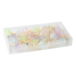 30Pcs 6 Styles Acrylic Pendant Decorations&nbsp;HJEW-FS00073