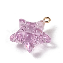 Transparent Resin Pendants&nbsp;LS-RESI-Z016-02C-LG