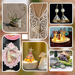 100G Natural Shell Display Decorations&nbsp;SSHEL-PH0001-40A