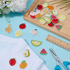 Computerized Embroidery Cloth Iron on/Sew on Patches&nbsp;PATC-WH0026-07