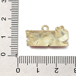 Alloy Enamel Pendants&nbsp;ENAM-S021-02G-A