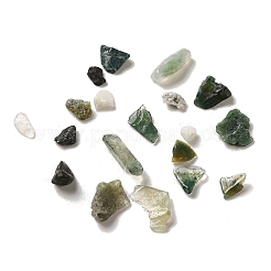 Natural Moss Agate Beads&nbsp;G-O103-31
