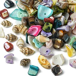 198G 11 Styles Natural Mixed Shell Beads Sets&nbsp;BSHE-FS0001-05