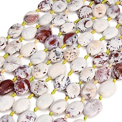 Natural Fire Crackle Agate Beads Strands&nbsp;GG-CBAE0EB-03B