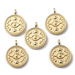 Zinc Alloy Pendants&nbsp;FIND-WH0147-81F
