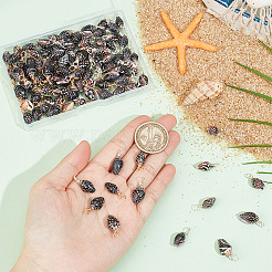 100Pcs 2 Colors Copper Wire Wrapped Natural Spiral Shell Pendants&nbsp;PALLOY-AB00234