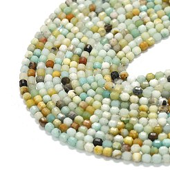 Natural Flower Amazonite Beads Strands&nbsp;G-A260-A32-01