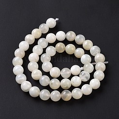 Natural White Moonstone Beads Strands&nbsp;G-F674-08-8mm-01
