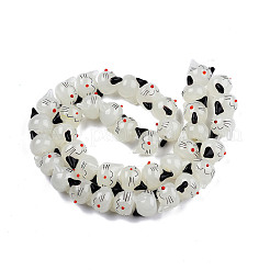 Handmade Lampwork Beads Strands&nbsp;LAMP-T017-19