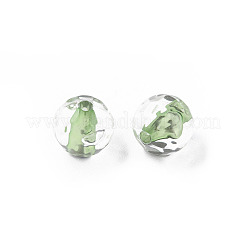 Transparent Acrylic Beads&nbsp;LS-MACR-S373-133-T03