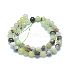 Natural Jade Beads Strands&nbsp;G-L552H-13C