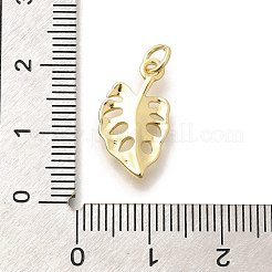 Brass Pendants&nbsp;KK-L225-030G