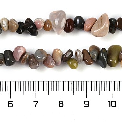 Natural Alashan Agate Beads Strands&nbsp;G-G905-18