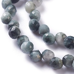 Natural Eagle Eye Stone  Beads Strands&nbsp;G-H243-09