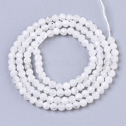 Natural Rainbow Moonstone Beads Strands&nbsp;LS-G-R462-032B