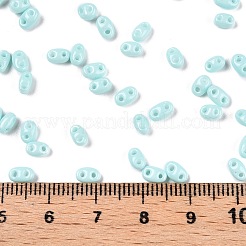 Baking Paint Glass Seed Beads&nbsp;SEED-T006-03G