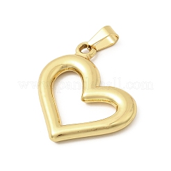 304 Stainless Steel Pendants&nbsp;STAS-C163-05B-G