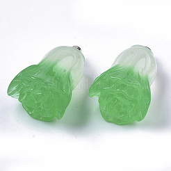 Resin Pendants&nbsp;LS-RESI-R426-06