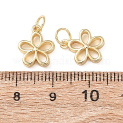 Brass Pendants&nbsp;KK-C143-19G
