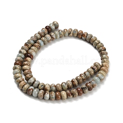 Natural Aqua Terra Jasper Beads Strands&nbsp;G-Z110-D40-5x8mm