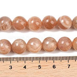 Natural Sunstone Beads Strands&nbsp;G-G342-A02-10.5mm