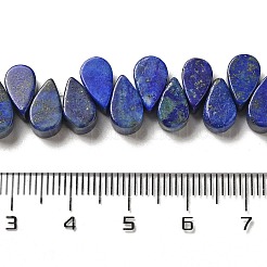 Natural Lapis Lazuli Dyed Beads Strands&nbsp;G-B064-B20