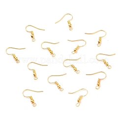 Iron Earring Hooks&nbsp;X-E135-NFG