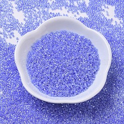 MIYUKI Delica Beads&nbsp;SEED-JP0008-DB0240