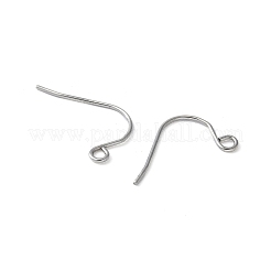 316 Surgical Stainless Steel Earring Hooks&nbsp;STAS-Z124-02C-P