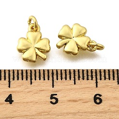 Brass Pendants&nbsp;KK-I275-08G-01