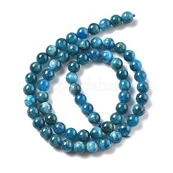 Natural Apatite Beads Strands&nbsp;G-O186-G01-01