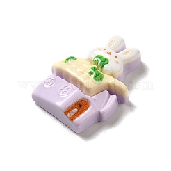Cartoon Food Hous Opaque Resin Decoden Cabochons&nbsp;CRES-H001-01D