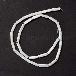 Natural Trochid Shell/Trochus Shell Beads&nbsp;X-SSHEL-O001-26B