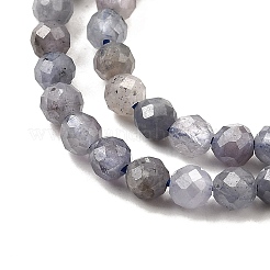 Natural Tanzanite Beads Strands&nbsp;LS-G-S387-A01-3mm